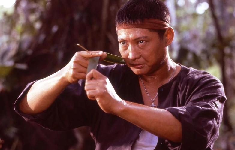 洪金宝硬核战争经典《东方秃鹰》在线观看