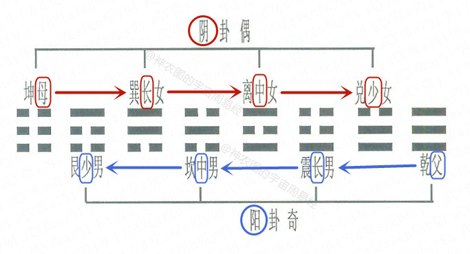 神农图_网红大神八卦图图片-_伏羲图