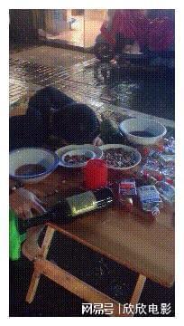陈冠希杨颖早年合照 艳照门事件影响 杨颖陈冠希关系_娱乐圈门事件照片